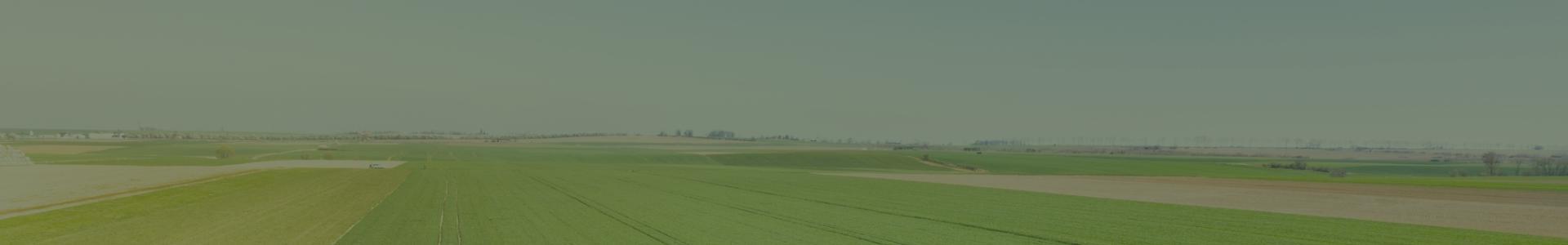 Panorama pola uprawnego