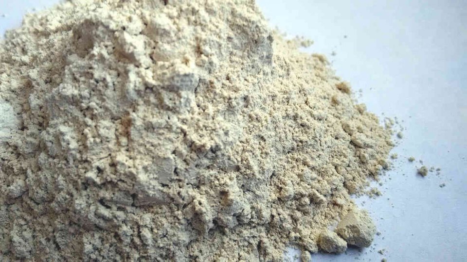 wapno bez magnezu pyliste odmiana 04 2