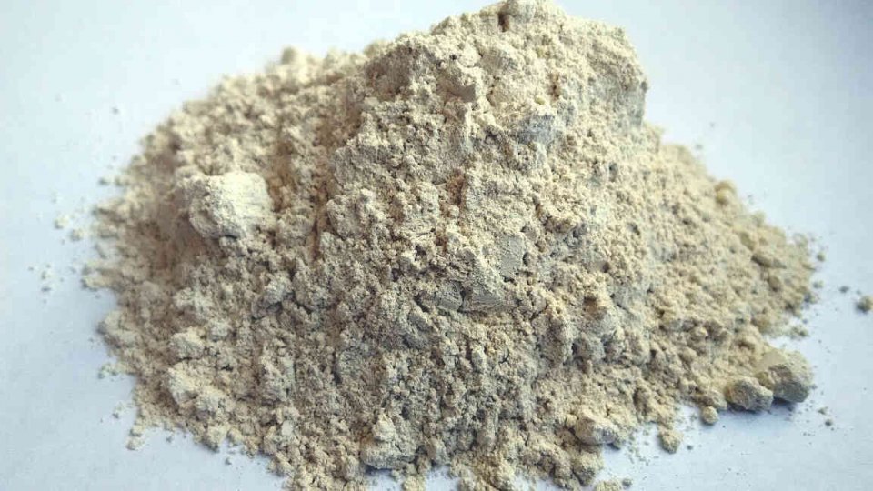 wapno bez magnezu pyliste odmiana 04 1